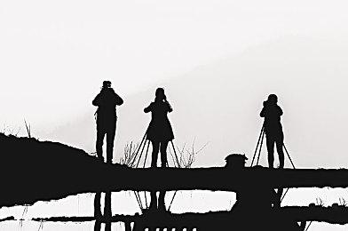 法律文件要求《龙珠：电光火石0》必须年底前发售